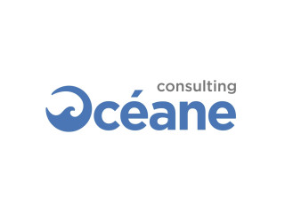 Offre emploi maroc - Oceane Consulting IT Maroc