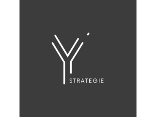 Offre emploi maroc - Y stratégie